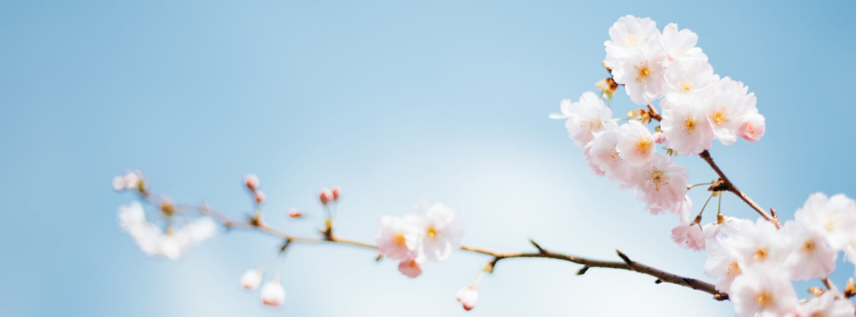 孙亮媛